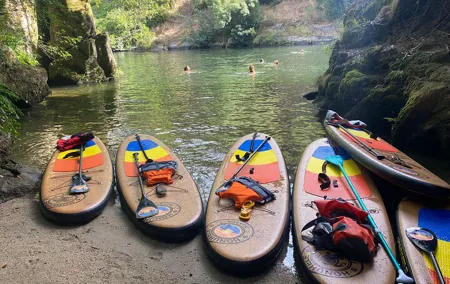 Stand-up-Paddle tour in Paiva river