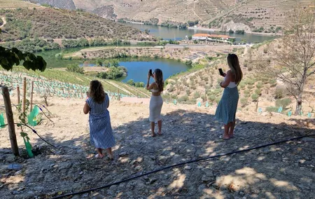 From Porto Visit the winery in the Douro Valley with pickup at the hotel