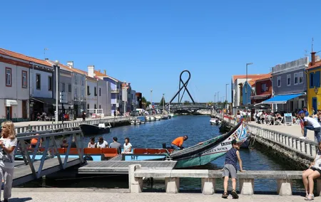 Private day trip: from Porto to Aveiro, Vila Nova de Gaia & back