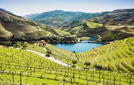 Full-Day Private Douro Valley Wine Tour Experience from Porto