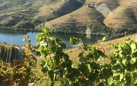 Douro Valley in off road - Private Tour