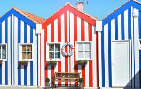 Private Day Trip From Porto To Aveiro & Coimbra, Local Driver