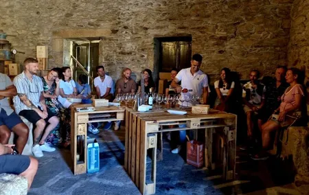 Douro Valley Guided Tour of 3 Vineyards with Lunch