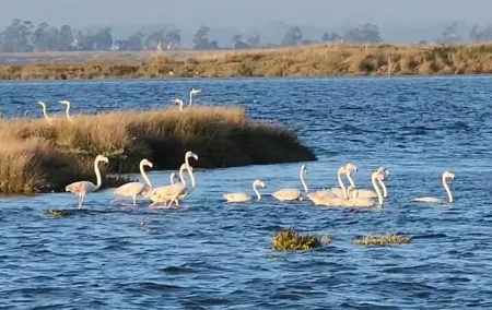 From Aveiro: Costa Nova, Barra, Vista Alegre - Half-Day Trip