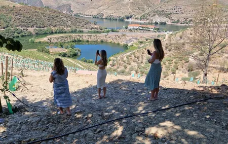 Tour to the Douro Valley from Porto 2 wineries, lunch and boat
