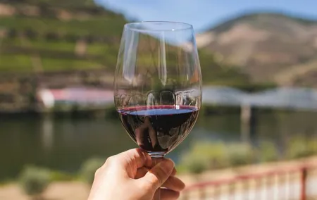 Douro Three Winery Small Group Tour with Lunch and Tastings