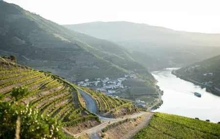 Premium Private Douro Tour: 2 Wineries with Tastings & Cruise