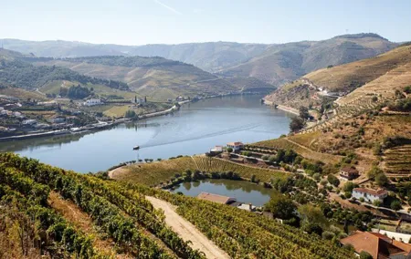Douro Valley Exclusive and Sustainable Experience from Porto