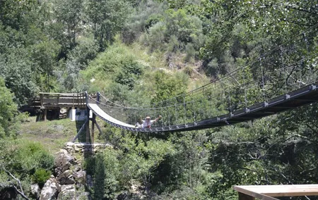 Paiva Walkways with Bridge 516 Adventure and Nature Tour with typical lunch