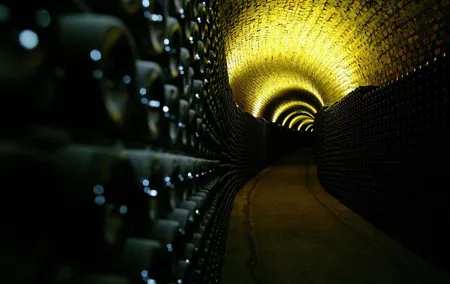 Private Premium Bairrada Tour: 3 Wineries, Wine Tastings & Lunch