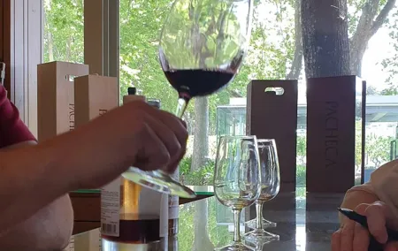 Douro Valley Tour Wine and breathtaking views