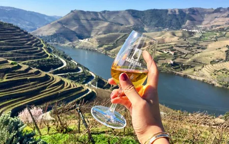Private Douro Tour with Lunch Wine Tasting Boat and Train Cruise