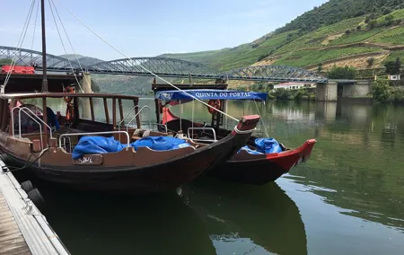 Douro Valley Private Tour: River Cruise, Lunch and Wine Tasting in a Vineyard