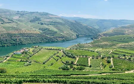 Douro Valley private tour includes wine tasting and boat trip