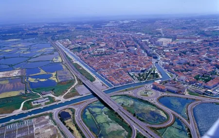 Aveiro Half-Day With Traditional Boat Tour