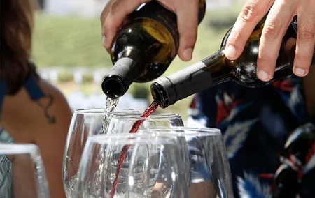 Full-Day Tour with Lunch and Wine Tastings in Portugal