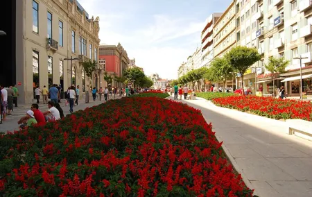 Private day trip from Porto to Braga, Guimaraes and back