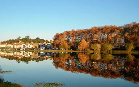 From Porto: Viana Castelo and Ponte Lima Private Tour
