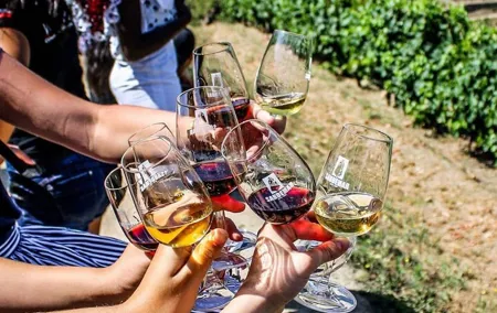 Douro Valley Private Tour with tasting included