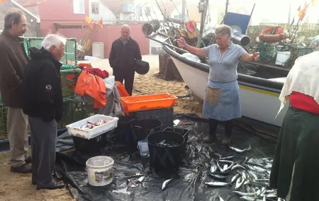 Private Fish Experience with Market-to-table lunch from Porto