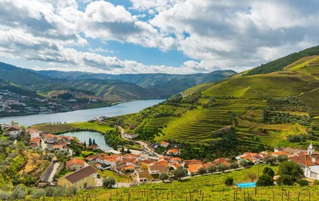 Private Douro Valley Tour: Wine Tasting, River Cruise & Lunch