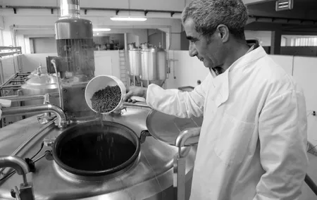 Private Porto Craft Beer Experience