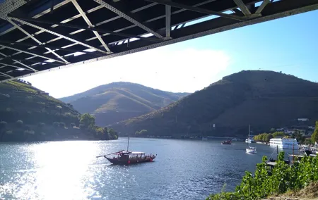 Port Wine - Amazing Douro Valley and Amarante - from Porto