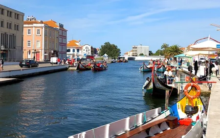 Private One-Way Porto to Lisbon through Aveiro Fátima and Óbidos