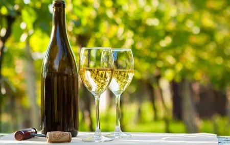 Exclusive Vinho Verde Alvarinho and Minho Region Wine Tour