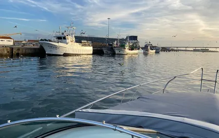 Private Tour in Ria de Aveiro in a 26 Feet Yacht