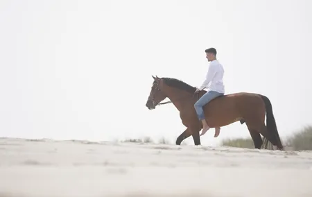 Beach Horseback Riding Adventure