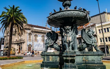 Porto's Best Must - See Highlights - Half Day Tour