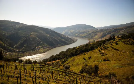 Douro Valley Wine Diversity Full Day Private Tour