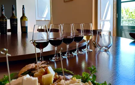 Private Douro Valley Winery Tour and River Cruise w/ Mercedes SUV