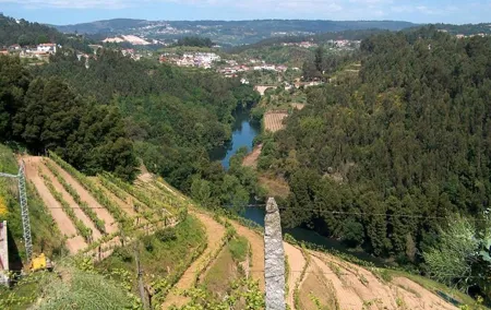 Private Tour to Melgaço and Monção, the heart of the Alvarinho region