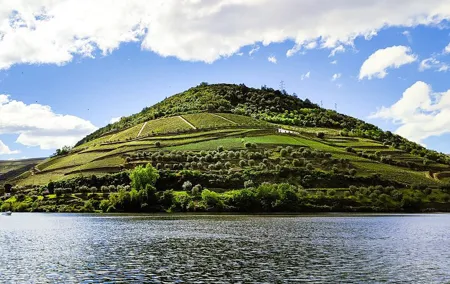 Douro | Roots & History - Tour with a local