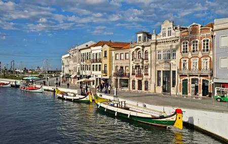 Private Tour in Aveiro, Birds and Vista Alegre