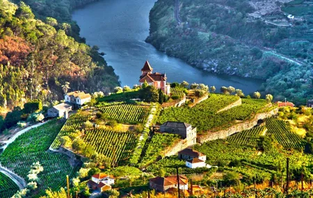 Douro Valley Private Tour with Wine Tastings from 2 Wineries