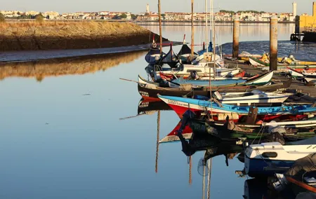 Private tour to discover the Ria de Aveiro!