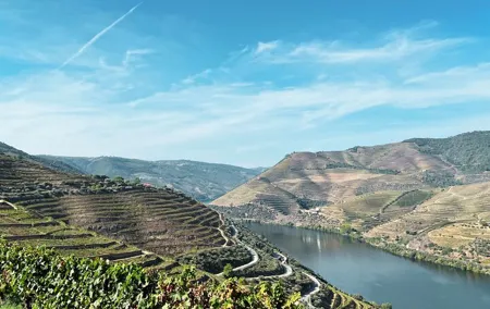 Discover Authentic Douro Tour