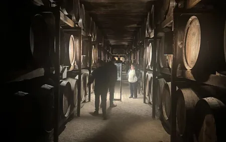 Green Wine Tour