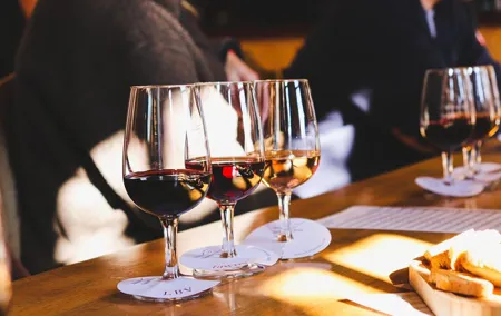 Explore the Douro Valley from Porto