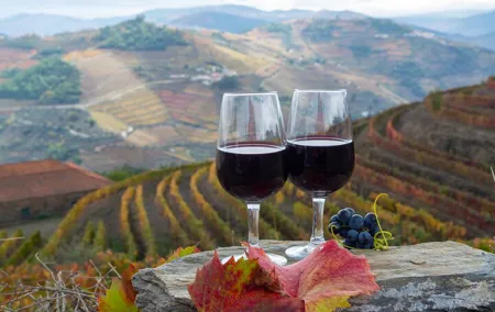 Private Douro Valley Tour: A Day of Wine, Scenery, and Heritage