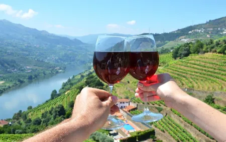 Douro Valley Delights Wine Tasting and Scenic Vistas