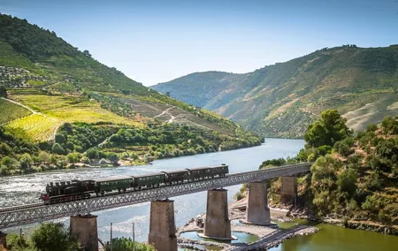Full Day Douro Valley Historical Private Tour with Wine Tasting