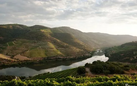 Our magnificent Douro Valley