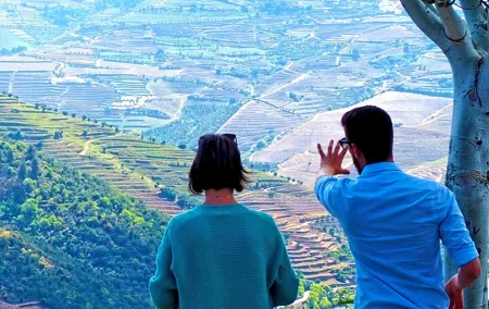 Private Premium Wine Experience through Douro Valley
