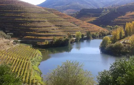 Douro Valley - Régua - with local wine and food tasting