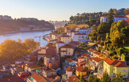 Half-Day Private Port Wine Tour Experience from Porto