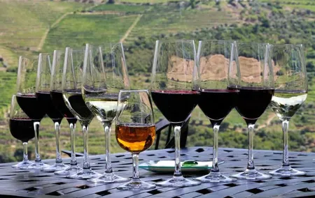 Douro Valley Wine Tour with 2 wineries, Lunch and Cruise option